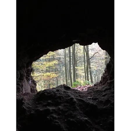Eifelrausch Comfortable Holiday * Berenbach